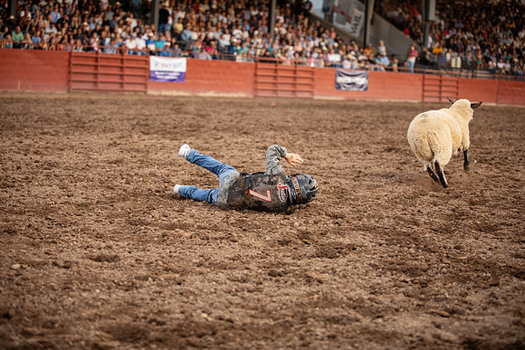 ECFR2025-maloney-7077