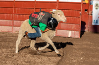 ECFR2026-maloney-1306