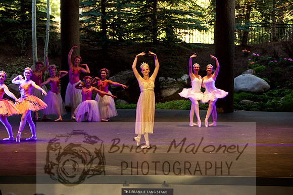 IMG_1429
