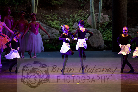 IMG_1445