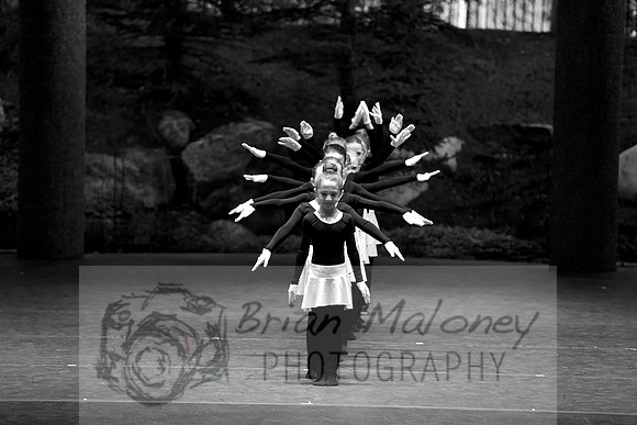 IMG_1462 - Version 2