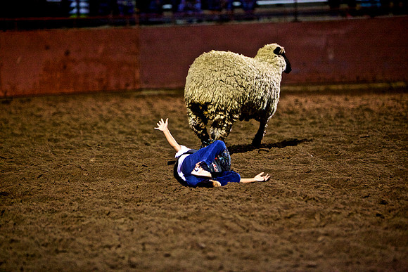 IMG_7467