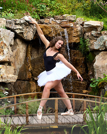 IMG_7986 - Version 2