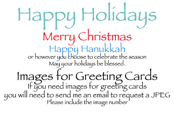 Holiday Cards