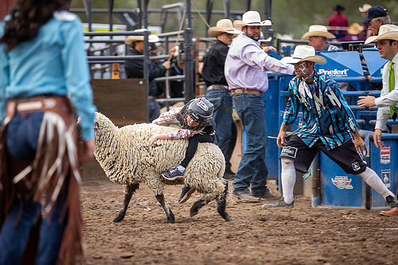 ECFR2024-2448