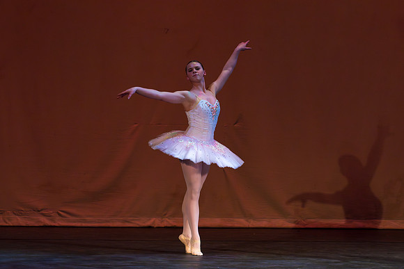 SHOWCASE2024-